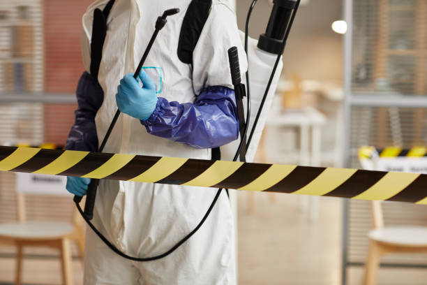 Professional Infectious Disease Decontamination technician working in Eldorado, TX